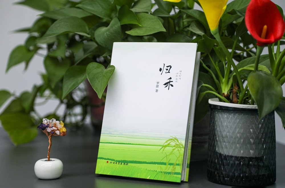 昭化區(qū)三百萬基金激勵創(chuàng)作 新政助力文藝精品繁榮