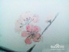 時光的痕跡 過期化妝品與文藝畫的詩意邂逅